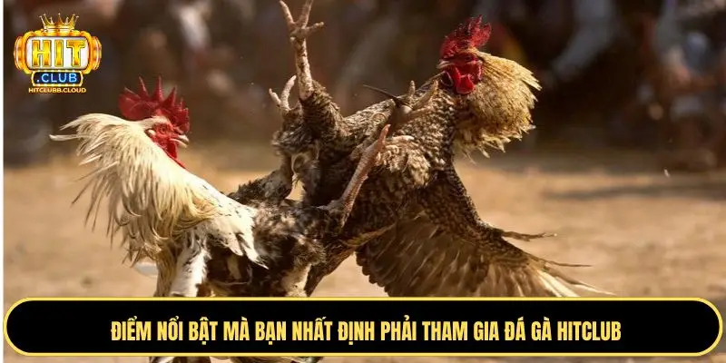 Trực tiếp hình ảnh sắc nét