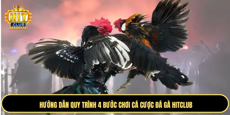 Theo dõi trận đấu đá gà Hitclub